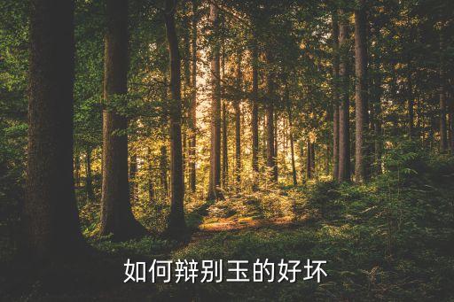 鑒定玉石價值,玉石鑒定專家在線...